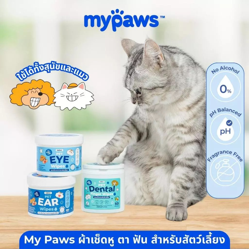 My Paws แผ่นเช็ดหู เช็ดตา ขัดฟัน สำหรับสัตว์เลี้ยง 🔥 โปรโมชั่นสุดคุ้ม: กดสั่ง 1 รับไปเลย 3 ชิ้น! (ซื้อ 1 แถม 2) 🔥 อ่อนโยนไม่ระคายเคือง ใช้ได้ทุกวัน ใช้ได้ทั้งน้องหมา น้องแมว
